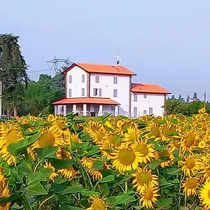 La Collinetta Bed & Breakfast Crespellano